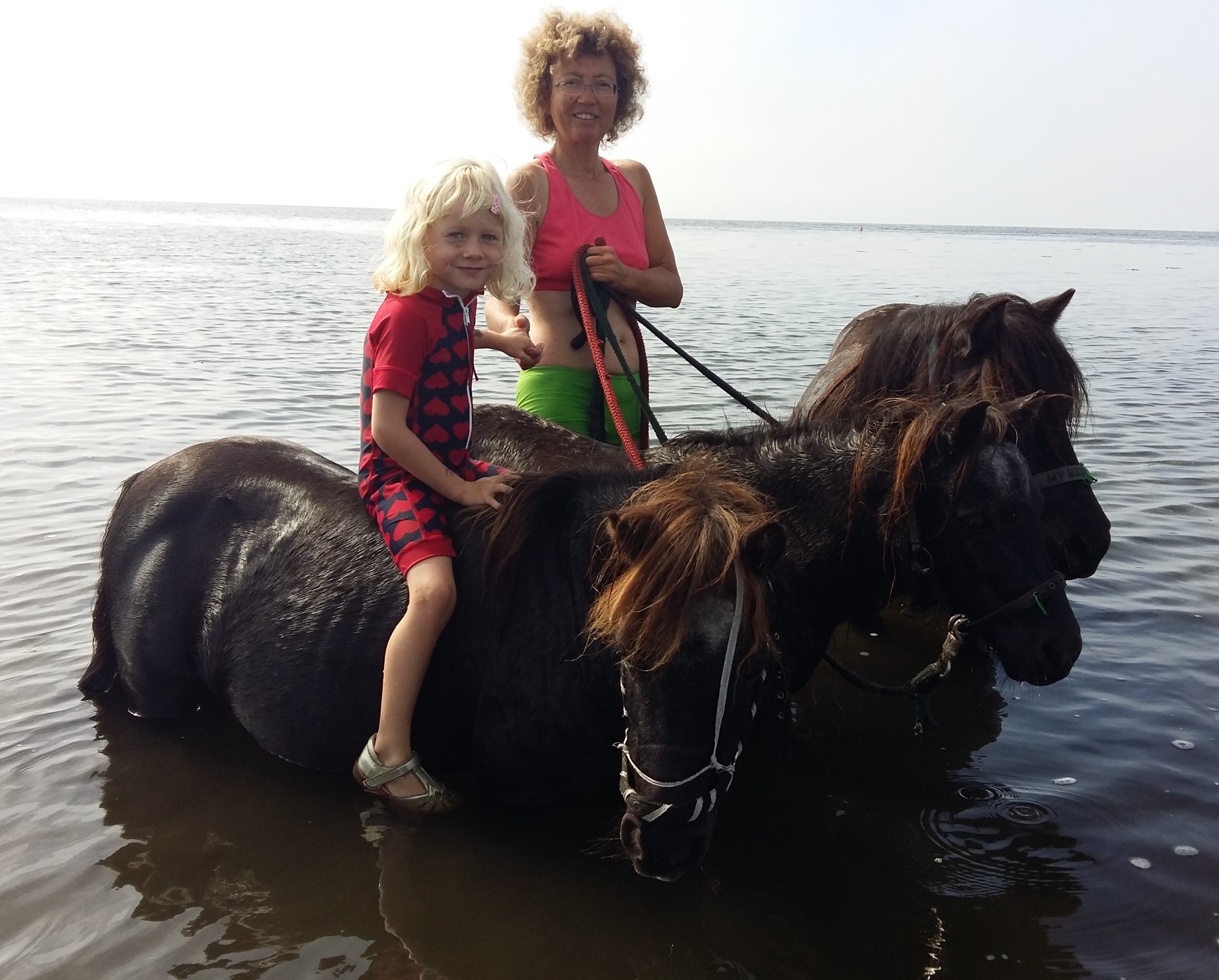 hestemassage Hestekundskab brn ridetur ridning pony dragr